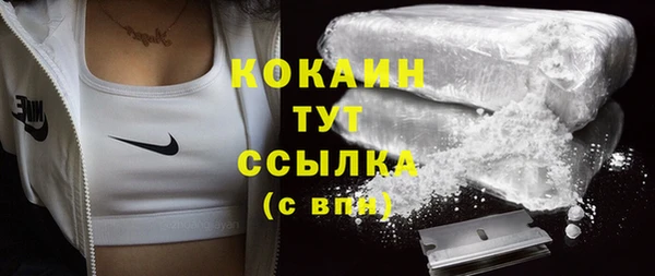 ГАЛЛЮЦИНОГЕННЫЕ ГРИБЫ Бородино