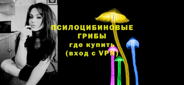 ГАЛЛЮЦИНОГЕННЫЕ ГРИБЫ Бородино