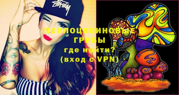 ГАЛЛЮЦИНОГЕННЫЕ ГРИБЫ Бородино