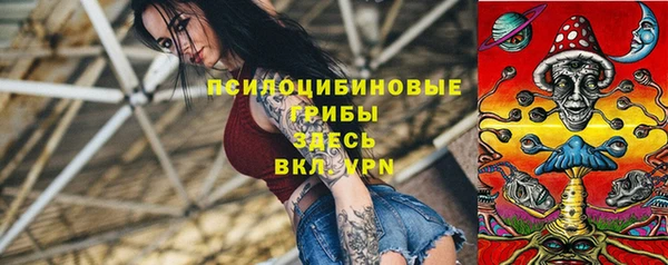первитин Богданович